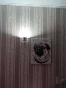 MagnetGlow Dual Wall Lamp photo review