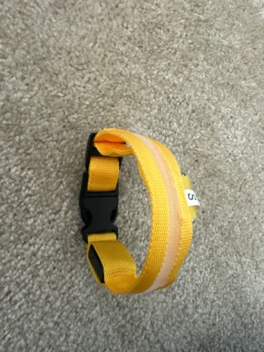 LumiGlow LED Dog Collar photo review
