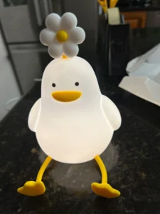 FlowerDuck LED Night Light photo review