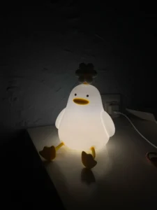 FlowerDuck LED Night Light photo review
