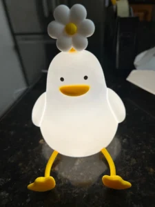 FlowerDuck LED Night Light photo review