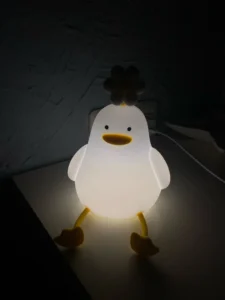 FlowerDuck LED Night Light photo review