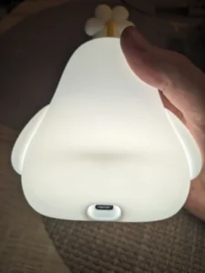 FlowerDuck LED Night Light photo review