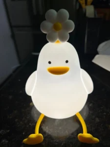 FlowerDuck LED Night Light photo review