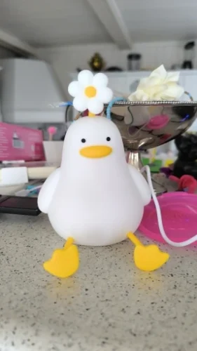 FlowerDuck LED Night Light photo review