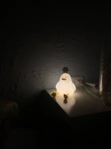 FlowerDuck LED Night Light photo review