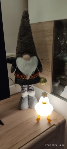 FlowerDuck LED Night Light photo review