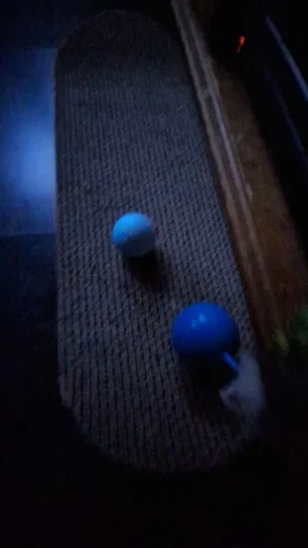 BouncePaw Smart Ball photo review