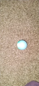 BouncePaw Smart Ball photo review