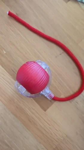 BouncePaw Smart Ball photo review
