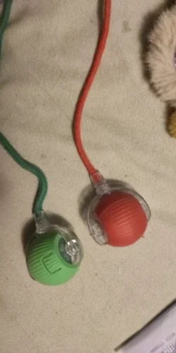 BouncePaw Smart Ball photo review