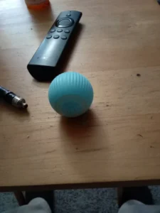 BouncePaw Smart Ball photo review