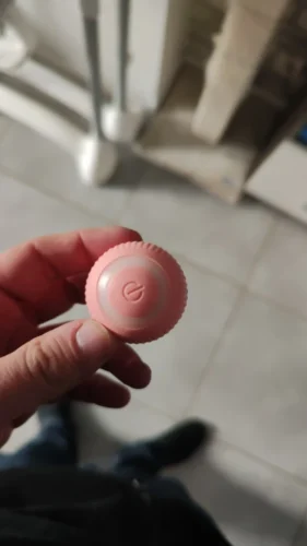 BouncePaw Smart Ball photo review
