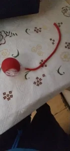 BouncePaw Smart Ball photo review