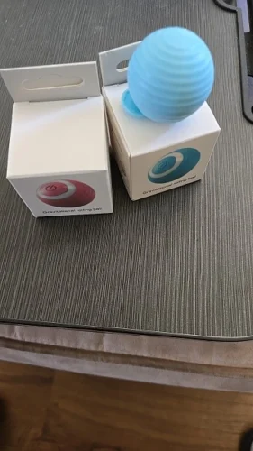 BouncePaw Smart Ball photo review