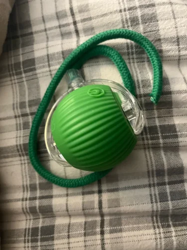 BouncePaw Smart Ball photo review