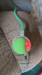 BouncePaw Smart Ball photo review