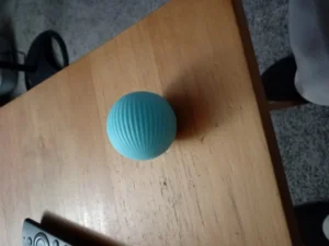 BouncePaw Smart Ball photo review