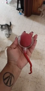 BouncePaw Smart Ball photo review