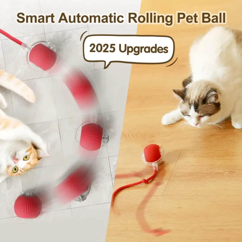 BouncePaw Smart Ball - Image 3