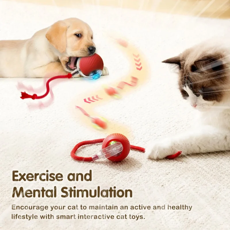 BouncePaw Smart Ball - Image 4