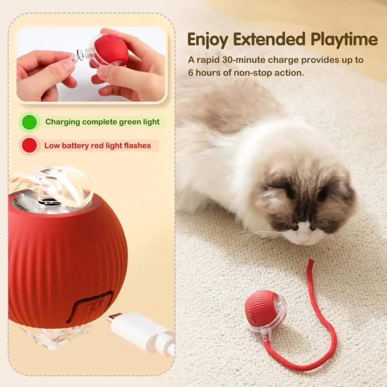 BouncePaw Smart Ball photo review